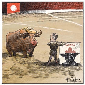 Bullfight