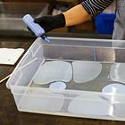 The Deco Files: Leather Marbling