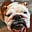 Ryan Goodwin's avatar