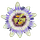 The Edtech Synergist