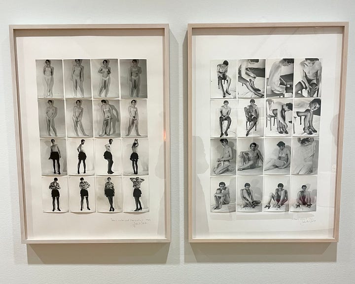 snapshot from VAG gallery of Gabrielle Storzer’s Trans Sitting and the accompanying wall plate