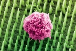 Colourised image of Nanoneedles