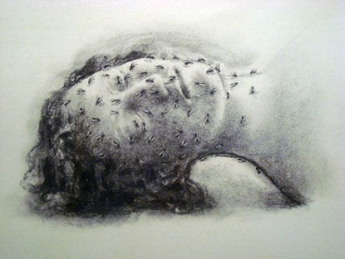 This may contain: a drawing of a woman's head with lots of flies on her face and neck