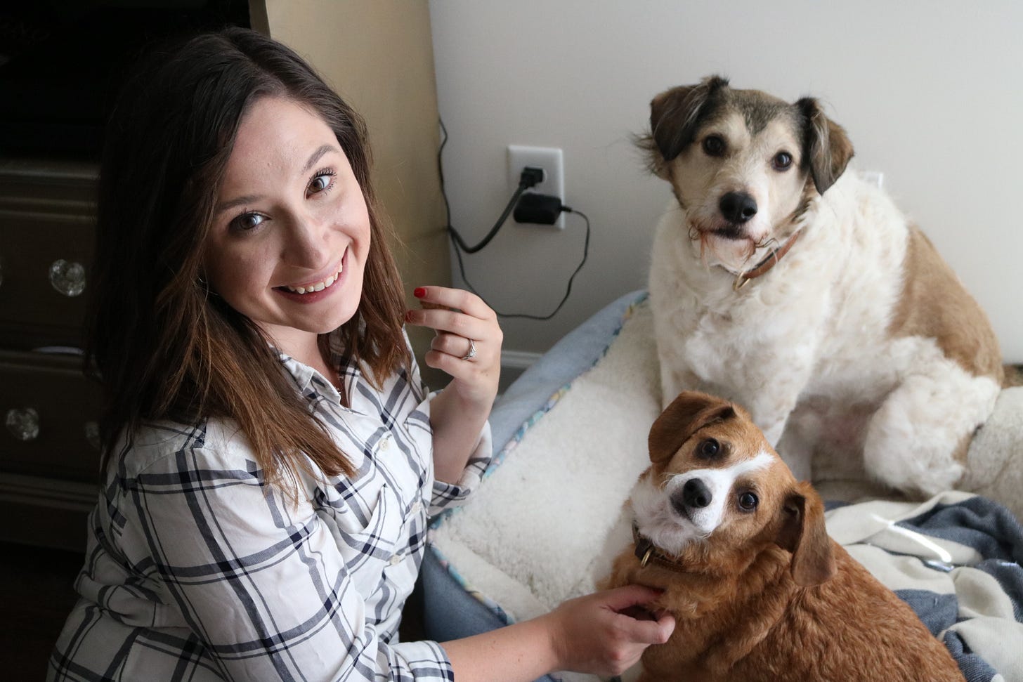 DIY Emergency Kit for Dog, DIY Pet Emergency Kit, Emergency Kit for Dogs
