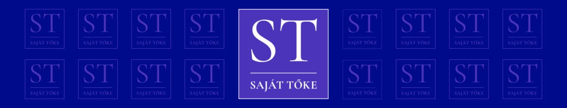 Saját Tőke