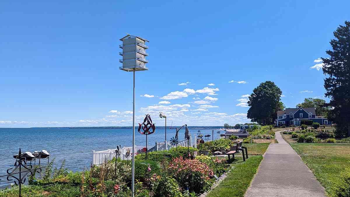 Rochester Secret Hidden Sidewalk Rochester Secret Hidden Sidewalk