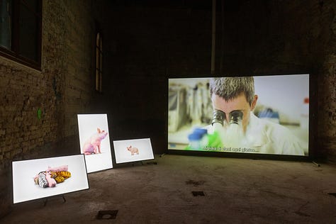 folding, flexing and expanding installation views