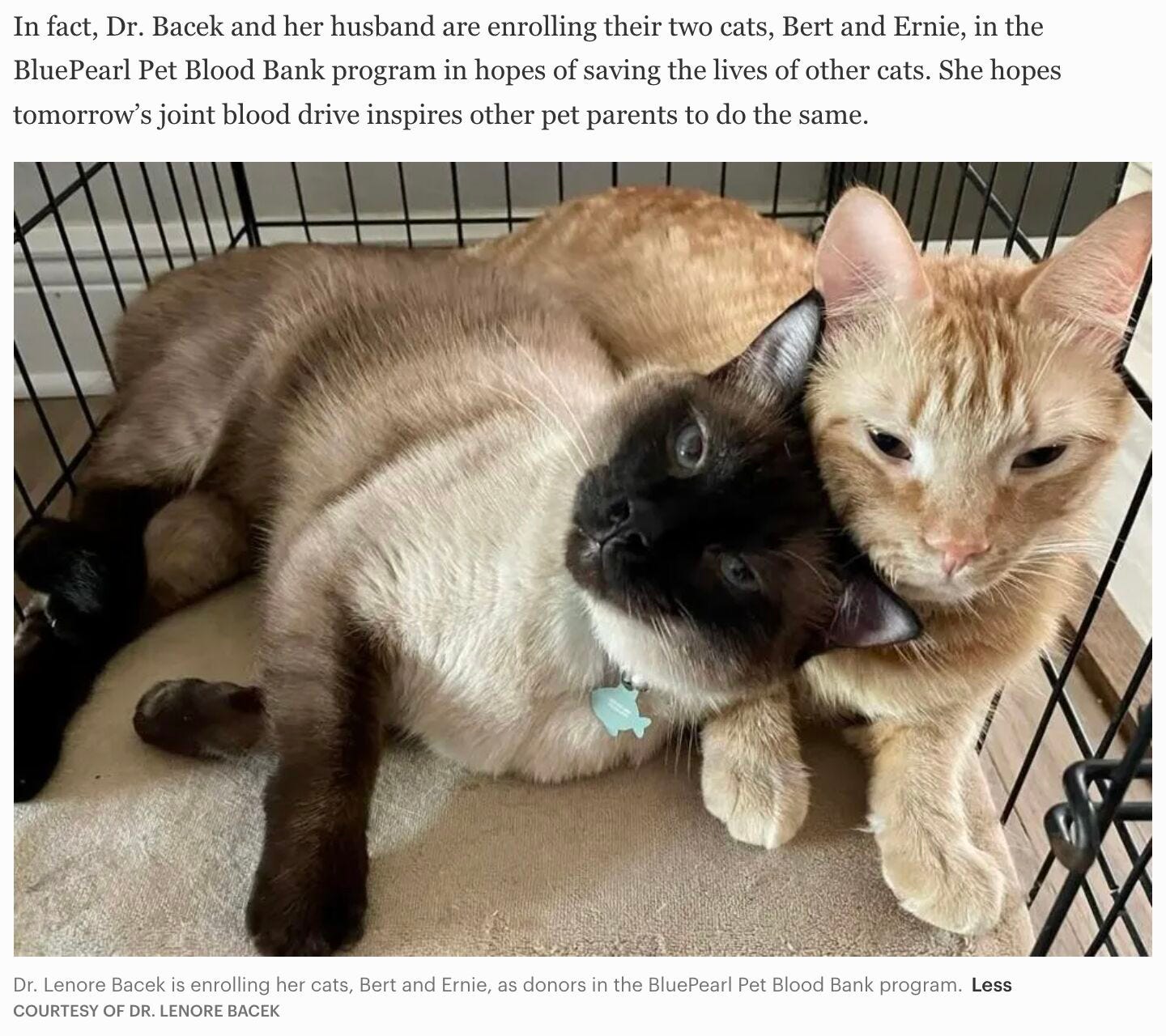 No alternative text description for this image