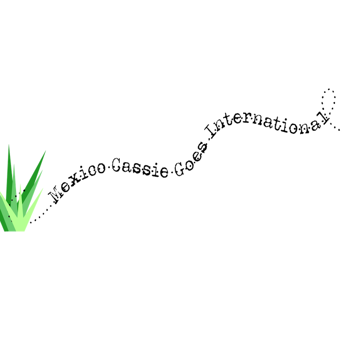 MexicoCassie’s Substack logo