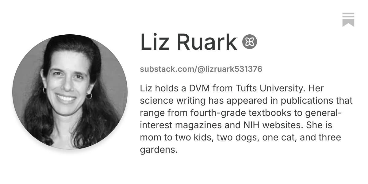 Liz Ruark | Substack
