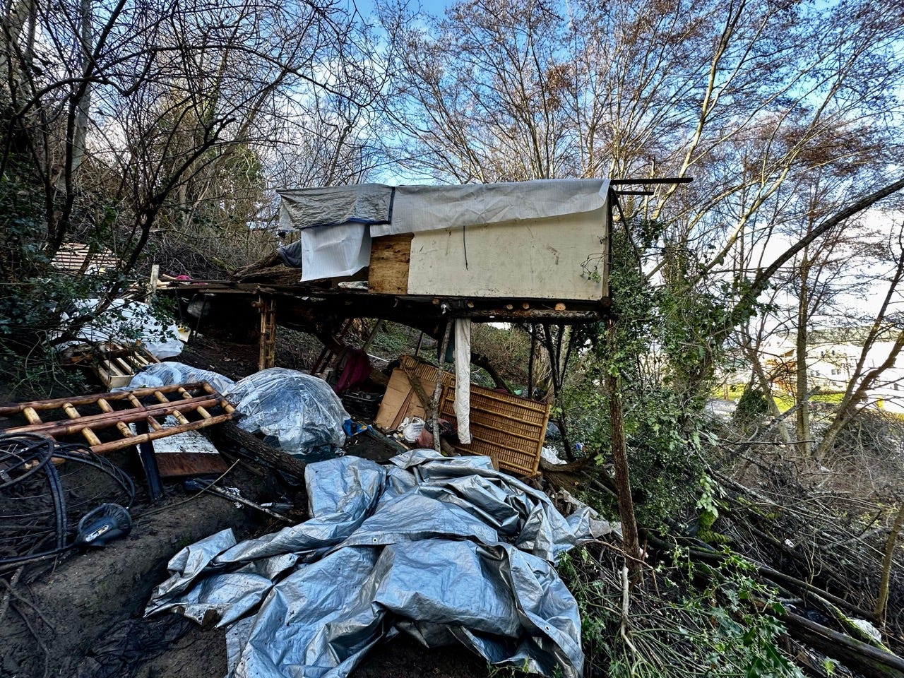 A shack in the woods

Description automatically generated with medium confidence