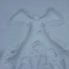 Go on a Curiosity Walk