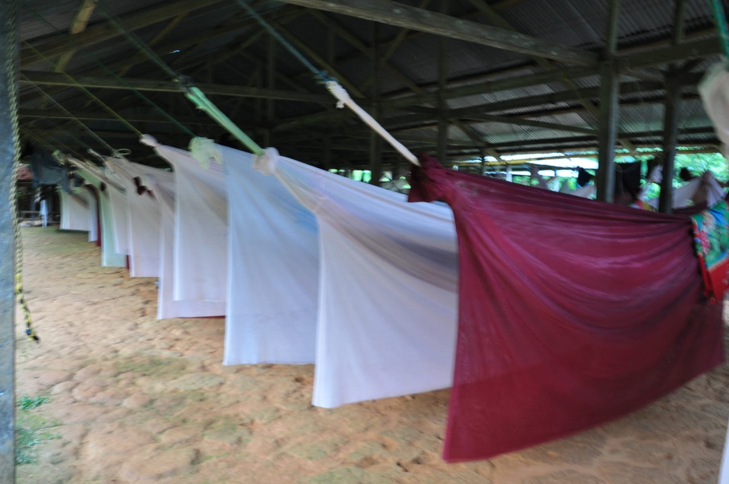 Hammocks in jungle camp in Colombia Santa Marta mountain trek to Ciudad Perdida lost city.