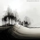 Wartime Fiscal Policy