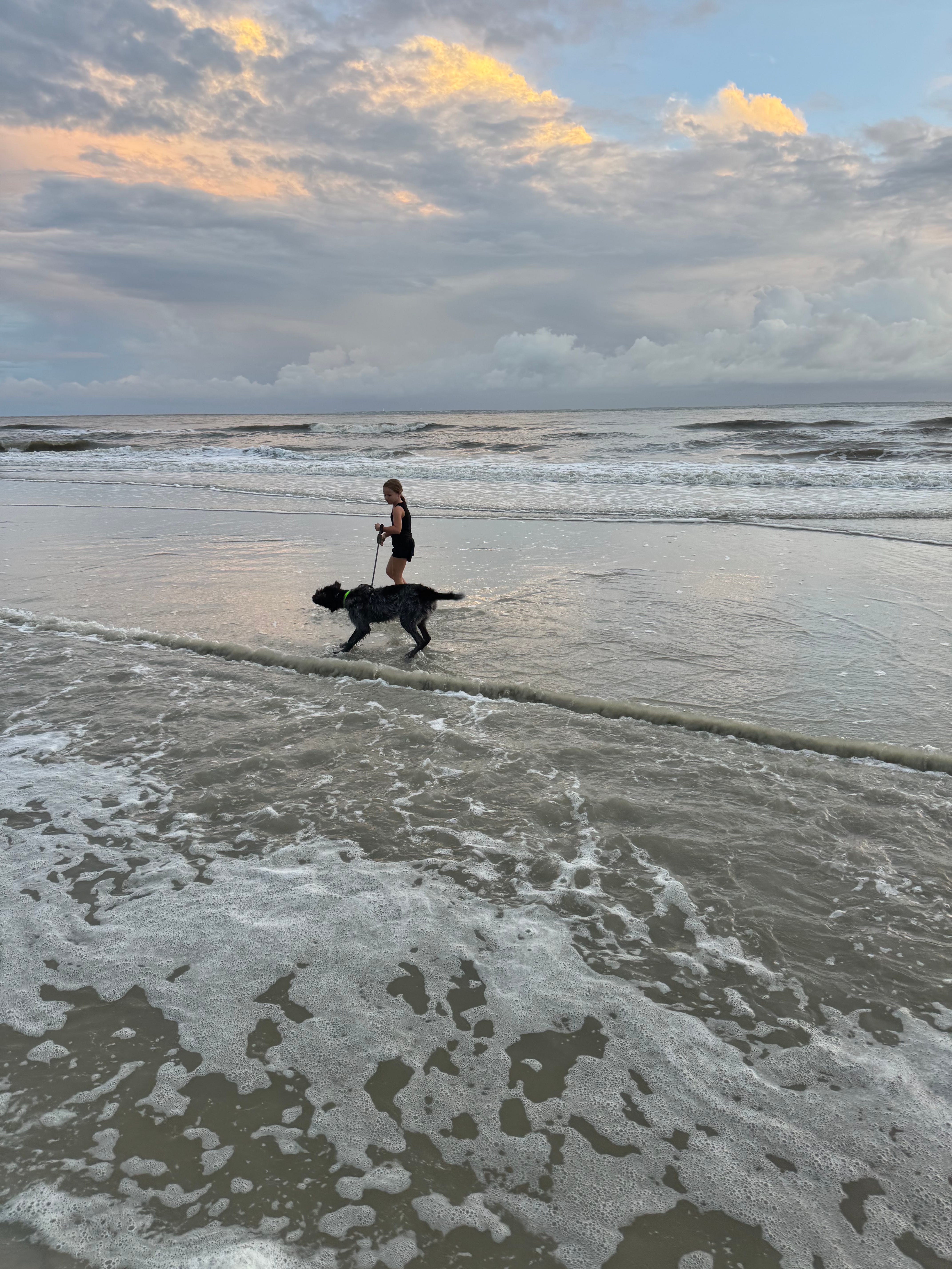 Dispatch 9: NO REWARD?