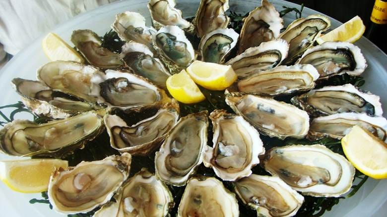 A group of oysters with lemon wedges

Description automatically generated