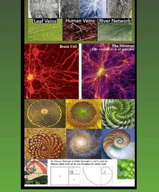 🌪 Thoughts on Spirals & Spirality