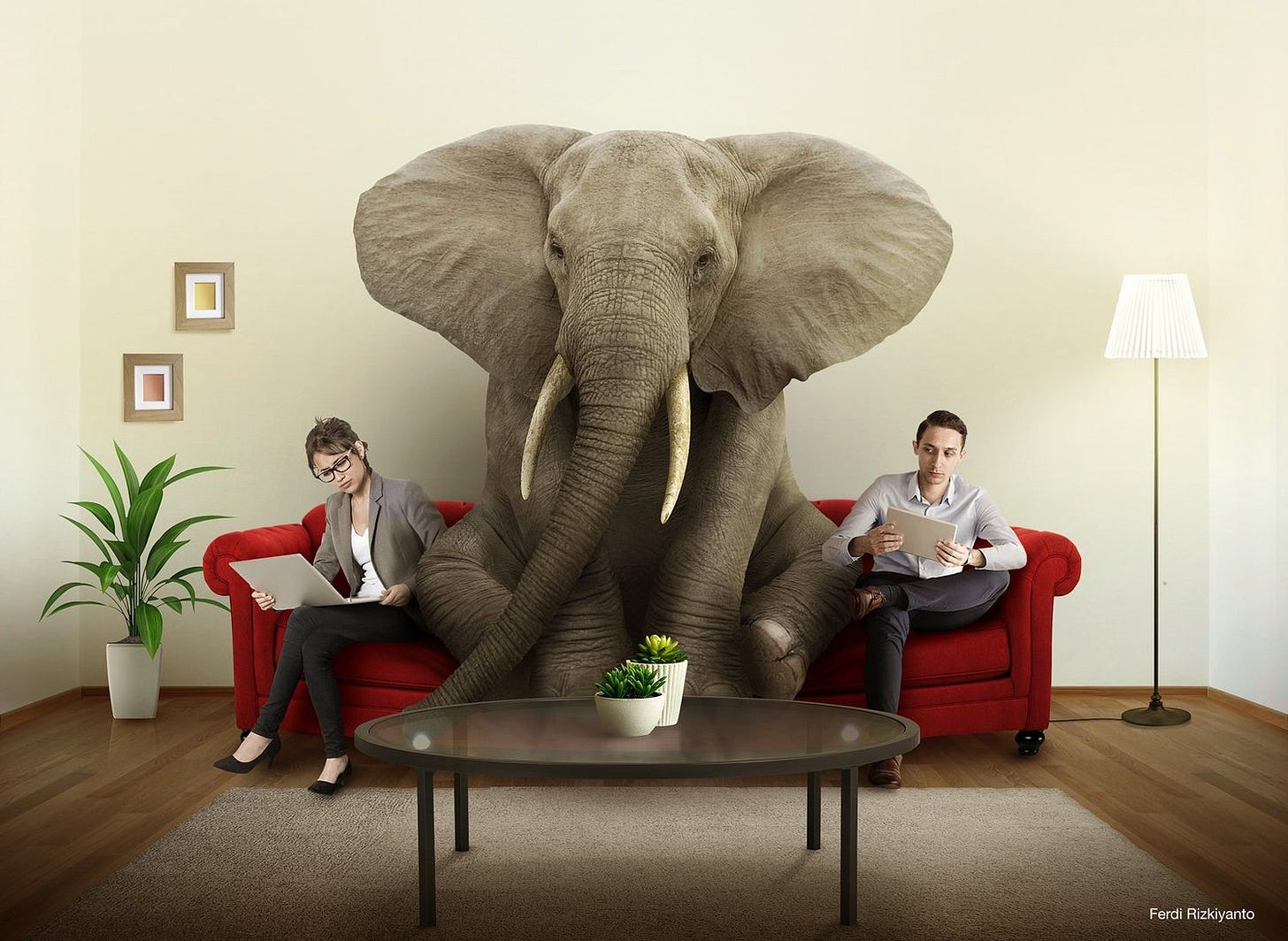 The Elephant in the Room — Chris Neumann