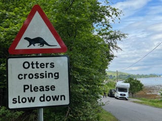 33 Otters crossing 33 Otters crossing