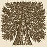 UNDER THE NOBLE CEDAR