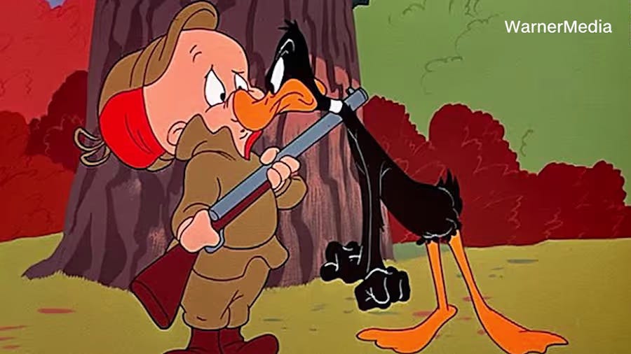 daffy duck confronting elmer fudd