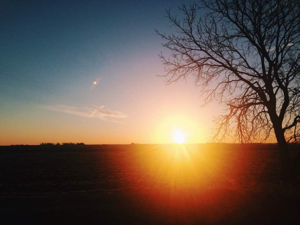 A Minnesota Sunrise – Just Bee