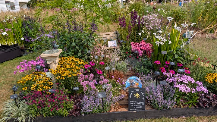 A spooky house, the North Devon Coast, and two show gardens at RHS Rosemoor 