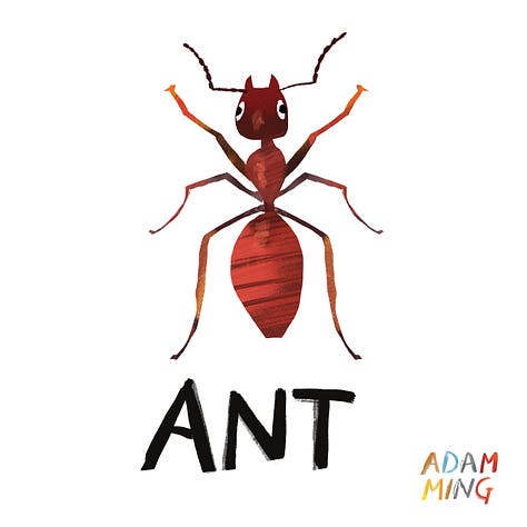 A collection of bugs illustrated by Adam ming