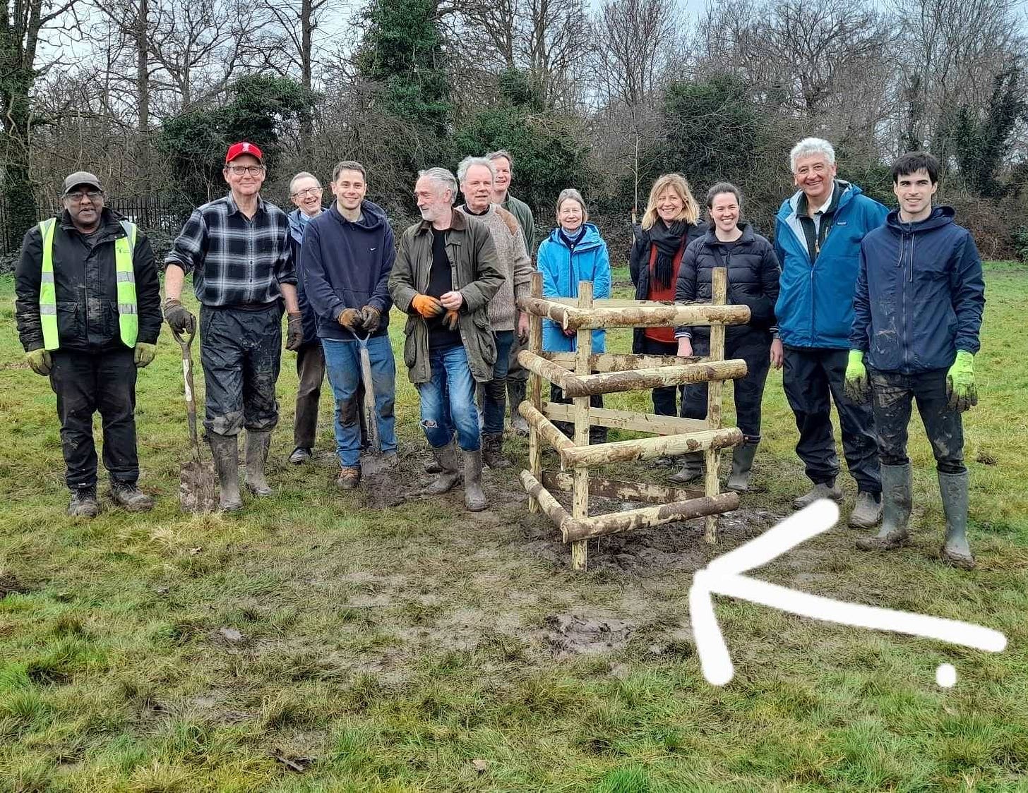 May be an image of tree