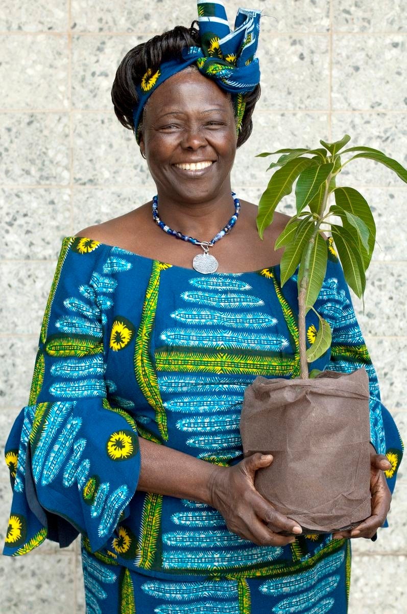 PHOTO Wangari_Maathai (c) Patrick Wallet PHOTO Wangari_Maathai (c) Patrick Wallet