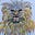 Angry cats's avatar