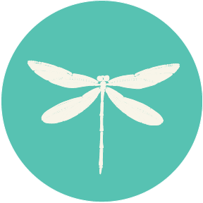 Letters from The Whiskey Porch