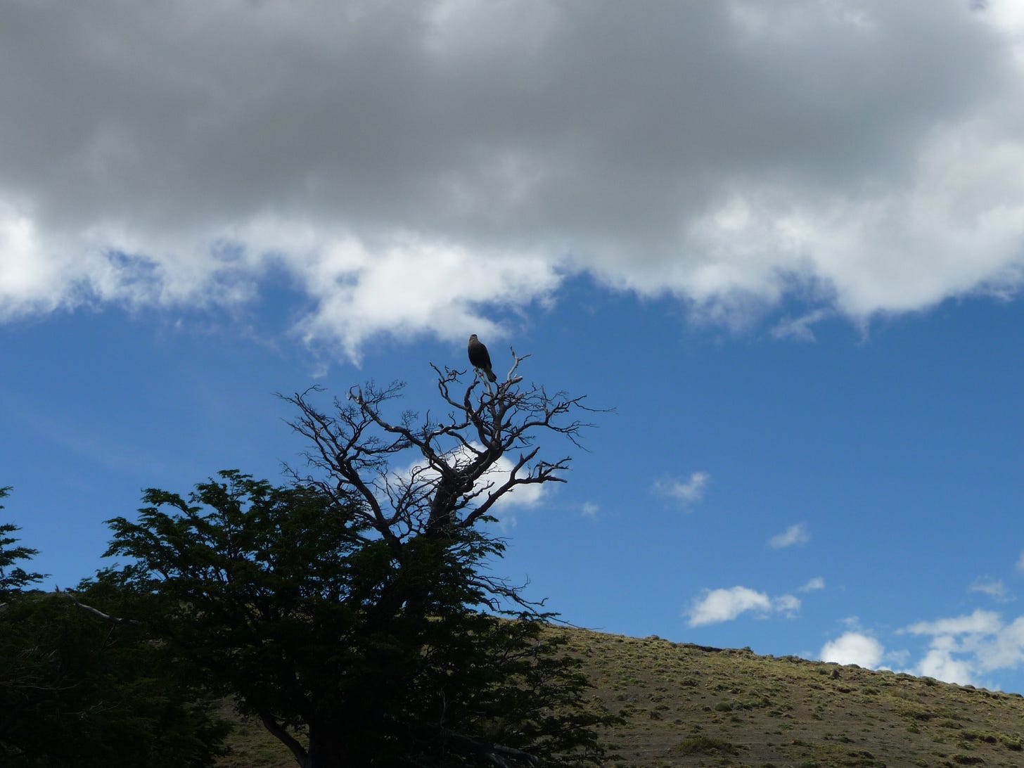P1050370 P1050370