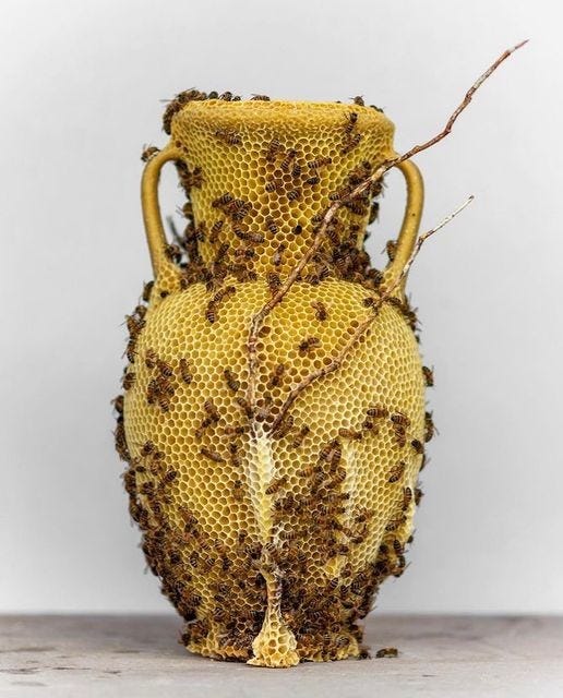 An Instagram  post added on Jan 23, 2024. The author is @thibautmathieuad. May present: tomas libertiny, artist, bees, sculpture, art.