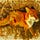 The Bodywork Kitsune