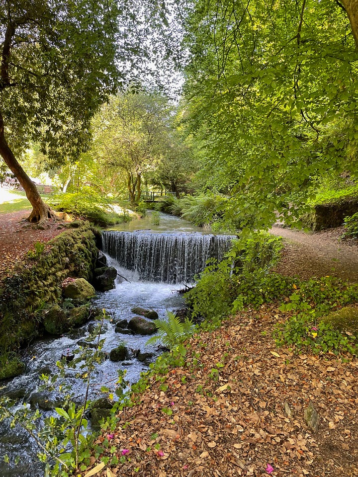 photos of a garden in St. Austell by Sabrina Simpson