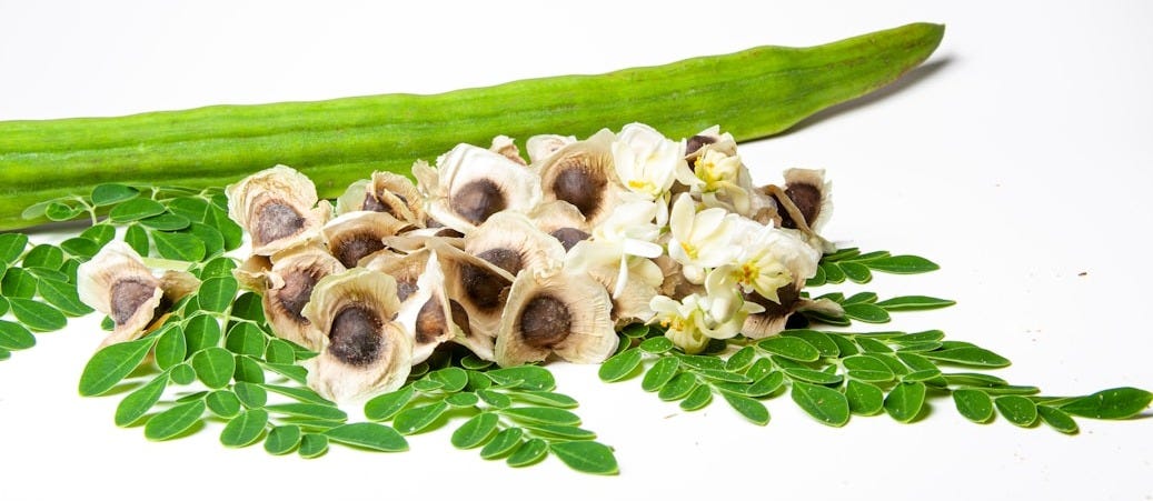 If your Energy is Dragging, try Moringa!