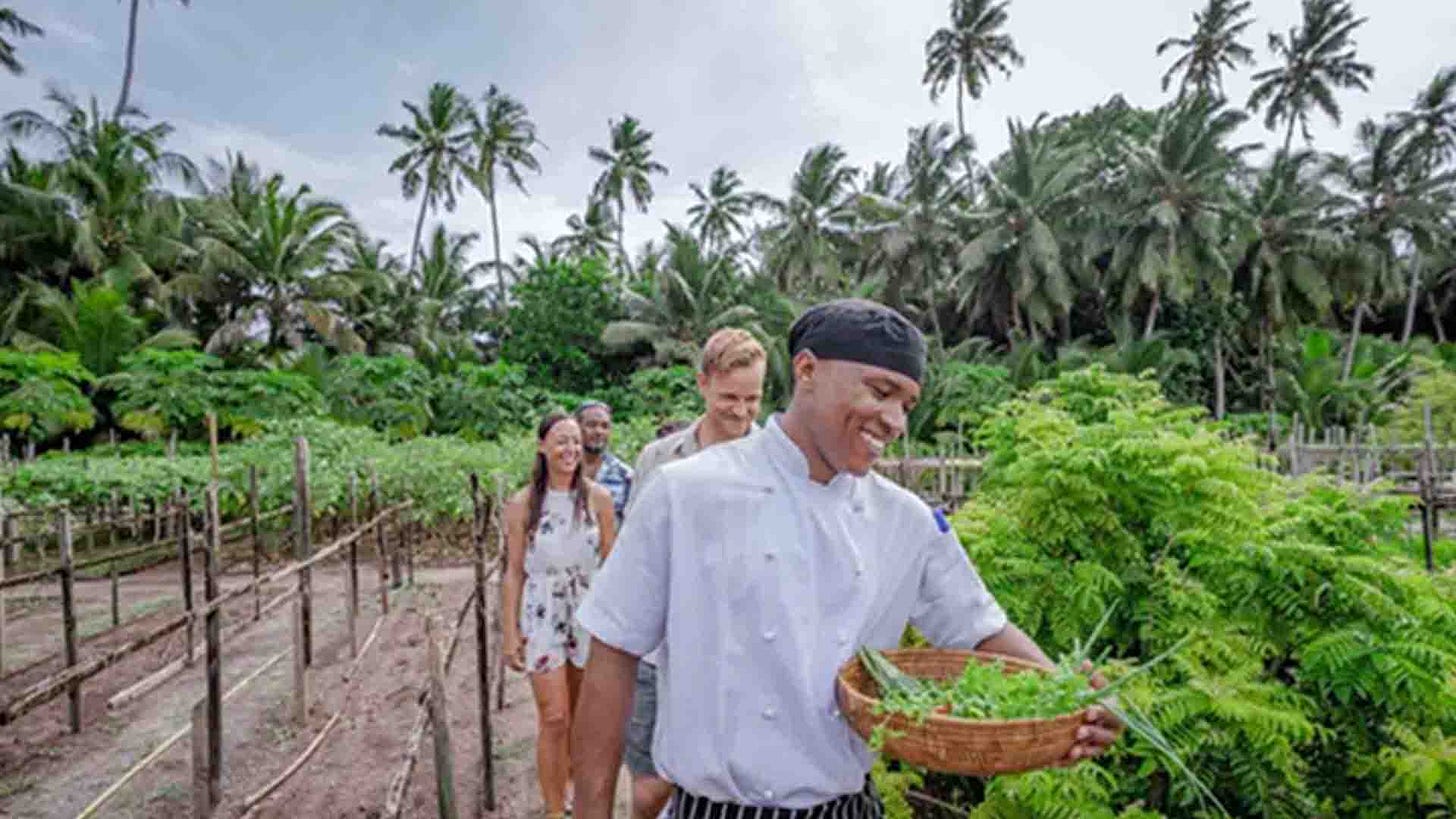 Chef and Guests in Garden with Palm Trees