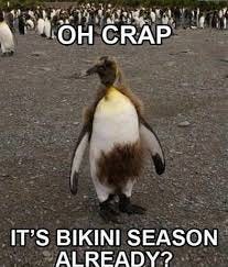 The Fun Bucket - Bikini season #funny #memes #bikini #bush | Facebook