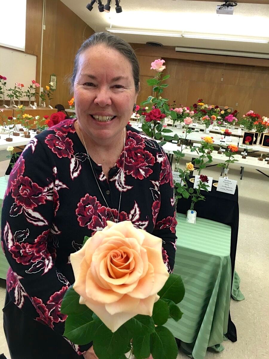 Large Flower Rose
