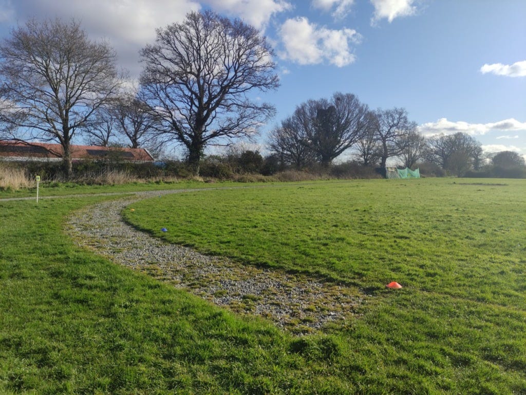 A gravel path cuts through the field