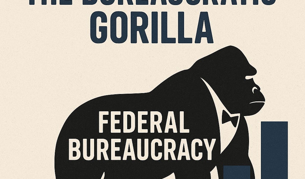 A Government That Fits in the Constitution