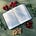 Torah at the Table's avatar