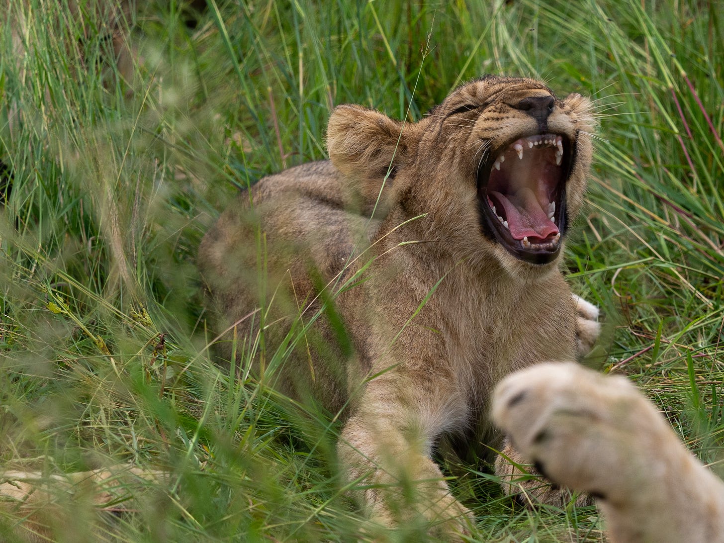 Self shot (Taken by Patrick Marah) Self shot (Taken by Patrick Marah)