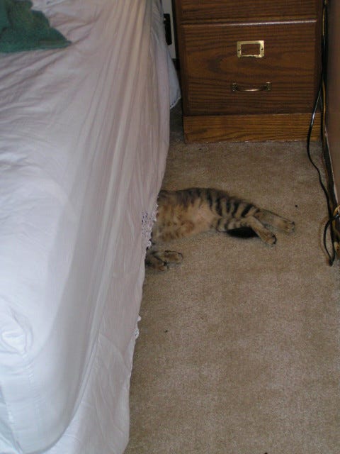 Chase_Passed_Out Chase_Passed_Out