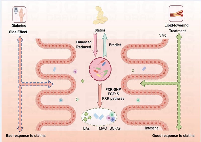 Literature review: Toxicology of 3-Nitrooxypropanol (Bovaer) - Part 2