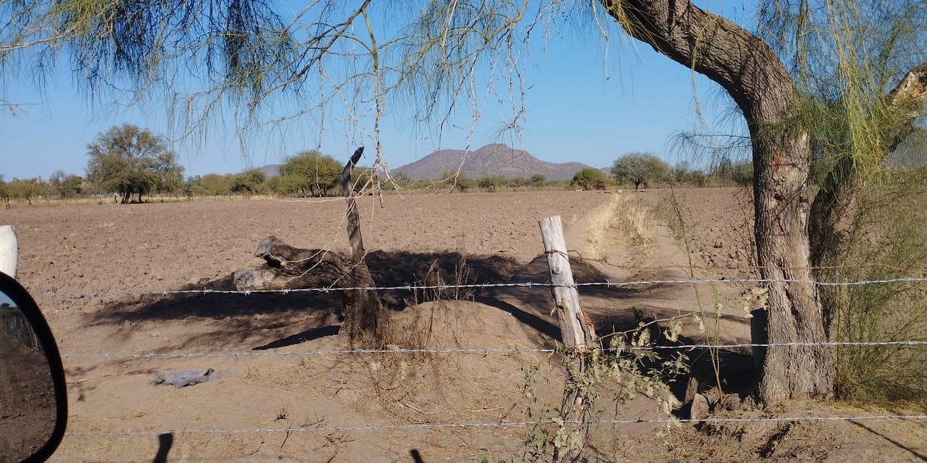 Mexico Says Construction on Three Dams in Sonora Will Begin in July. Locals are Concerned.