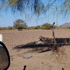 Mexico Says Construction on Three Dams in Sonora Will Begin in July. Locals are Concerned.