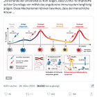 Makrophagenpolarisation