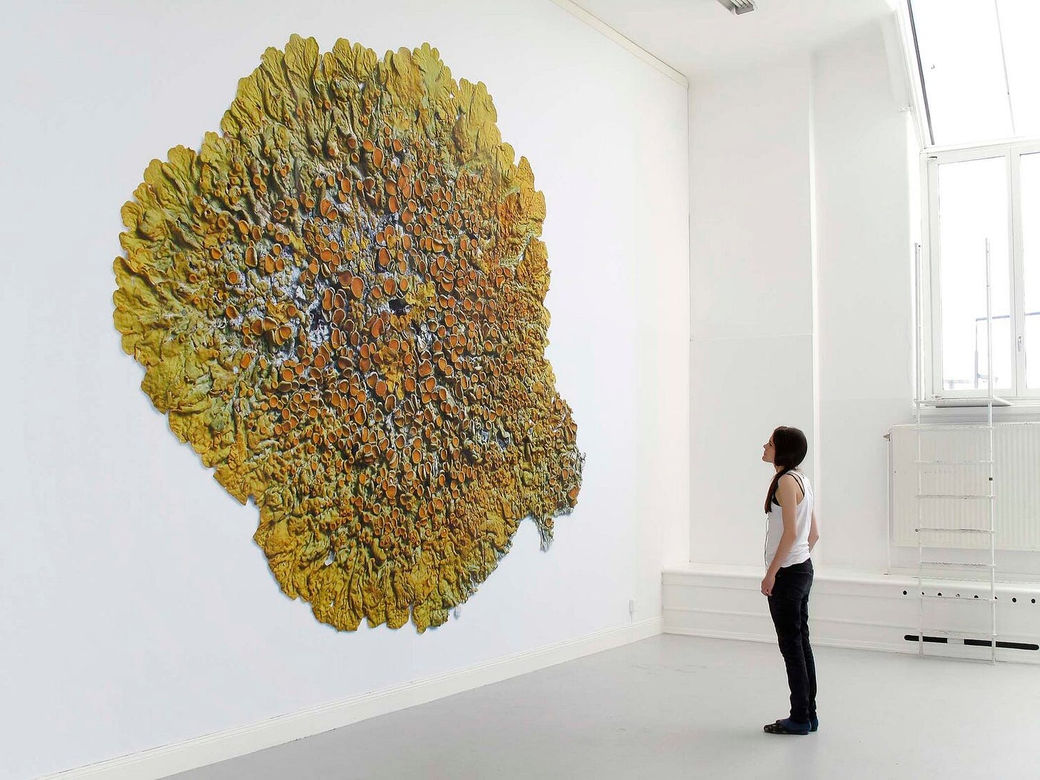 Urban Lichen — Oscar Furbacken